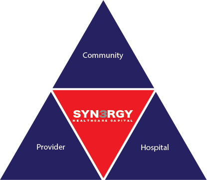 Synergy Organization Triangle